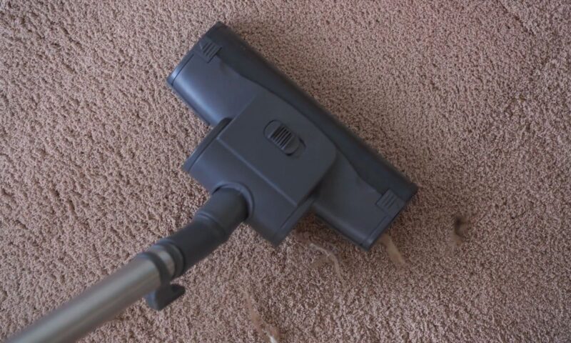 prikaz usisivača koji skuplja dlake sa tepiha